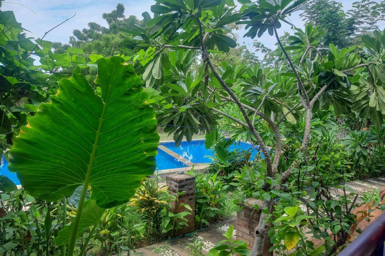 Oyo 3070 Villa Lovina Eco Lodge Ngoại thất bức ảnh